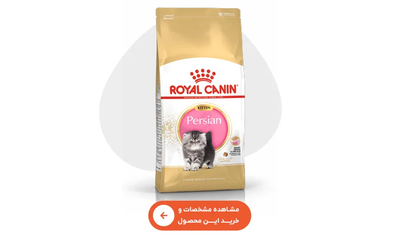 خرید غذای خشک بچه گربه رویال