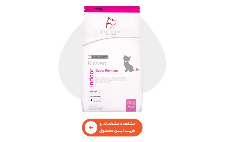 خرید غذای خشک بچه گربه سلبن
