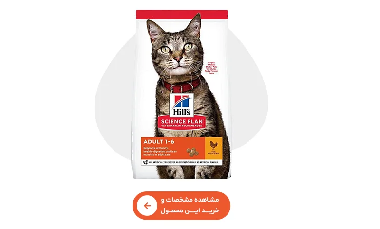 خرید غذای خشک گربه بالغ هیلز