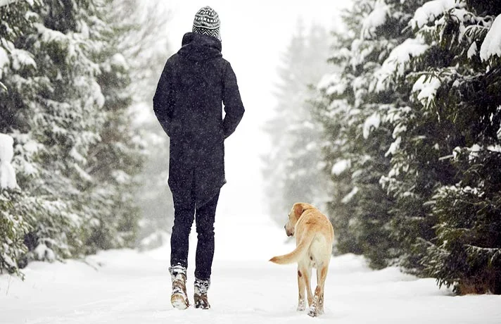 قدم زدن و بازی کردن با سگ ها در زمستان و نکاتی که باید بدانید