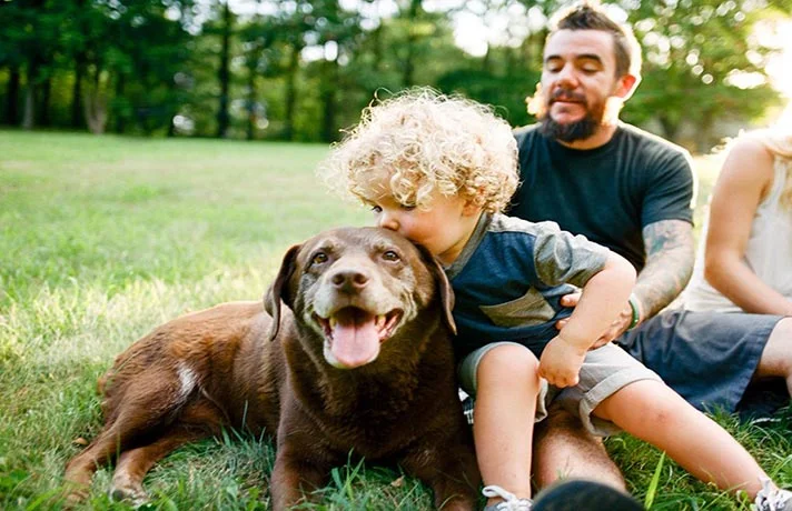 آیا بوسیدن و لیسیدن سگ خطر دارد؟ خطر بزاق سگ برای انسان ها