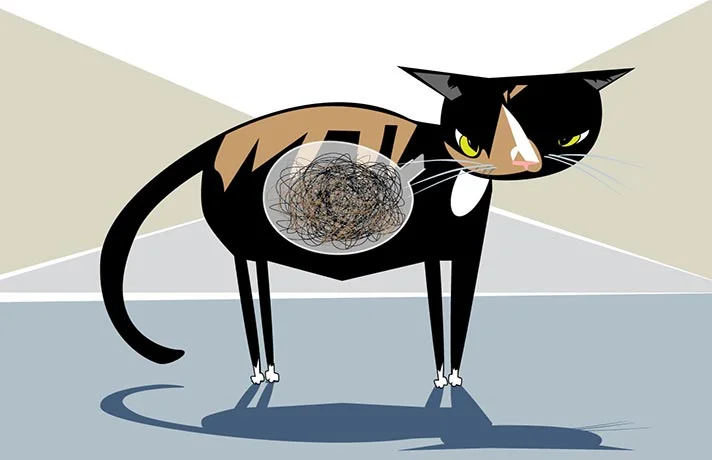 هربال گربه یا تجمع مو در معده و روش پیشگیری و کنترل آن