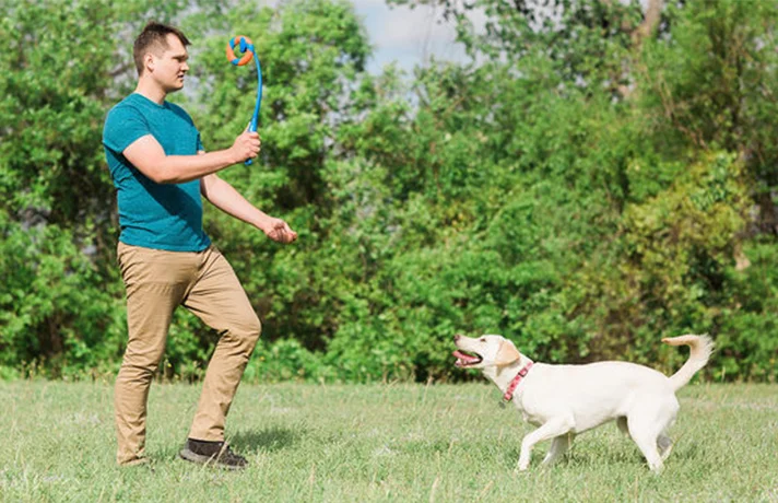 آموزش گام به گام دستور بیا به سگ