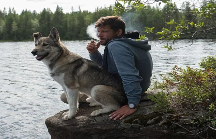 خطرات دود سیگار برای سگ ها و گربه ها