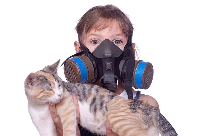 چطور بر بوی نامطبوع گربه‌ها غلبه کنیم؟ راهکارهای عملی رفع بوی گربه!