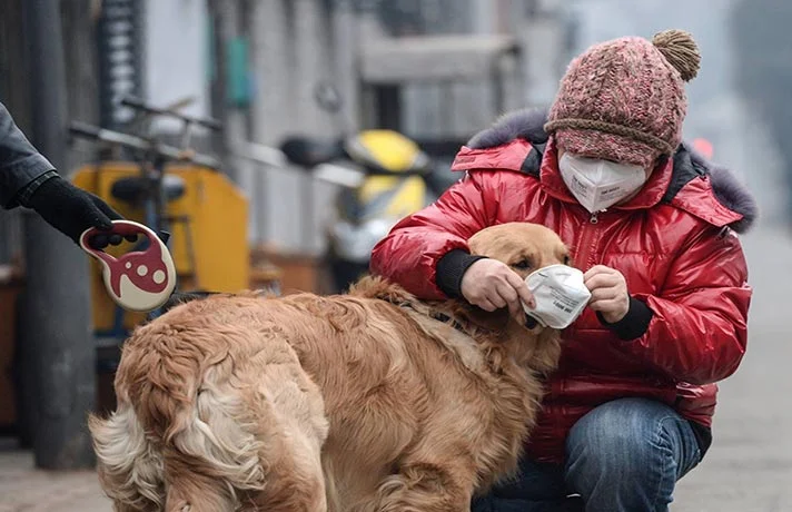 اثرات آلودگی هوا بر حیوان خانگی