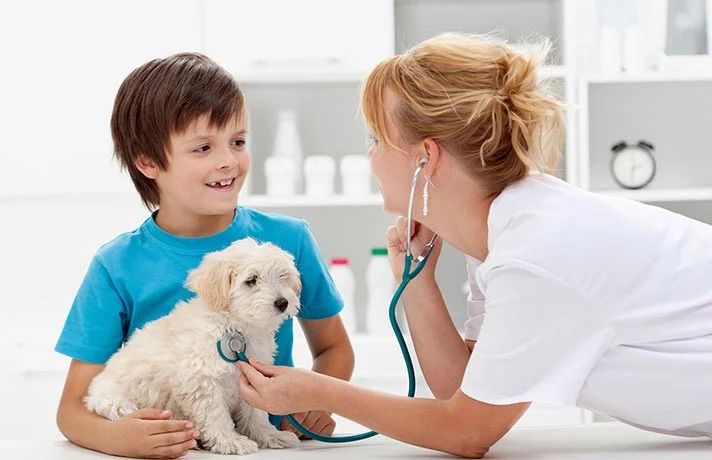 چگونه بهترین دامپزشک را برای حیوان خانگی‌تان انتخاب کنید