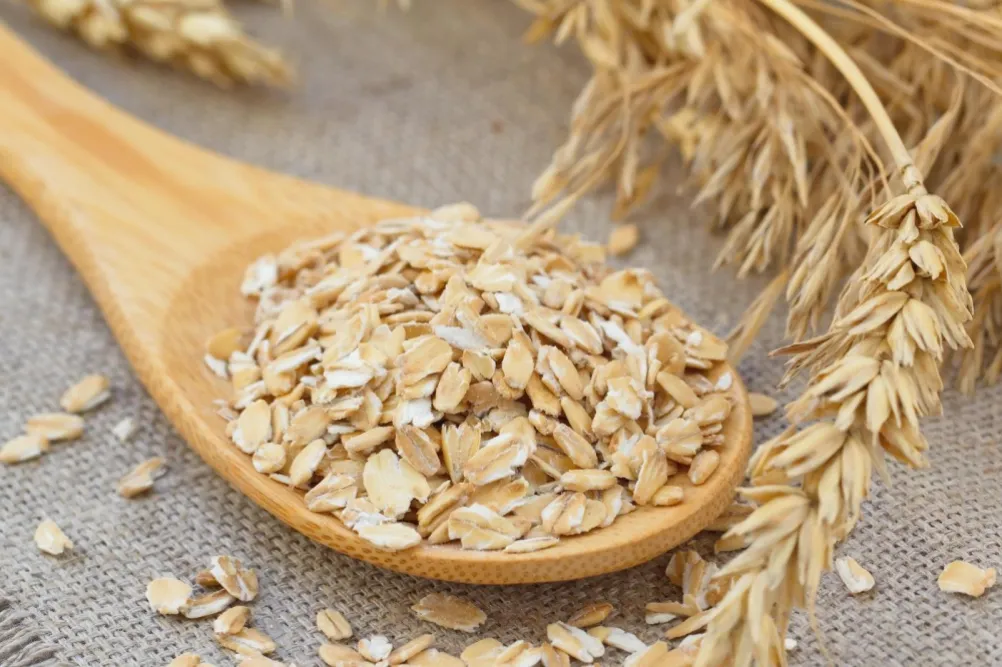 آیا سگ ها و گربه ها می توانند جوی دوسر بخورند؟ مزایای جو پرک برای حیوان خانگی