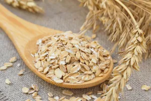 آیا سگ ها و گربه ها می توانند جوی دوسر بخورند؟ مزایای جو پرک برای حیوان خانگی