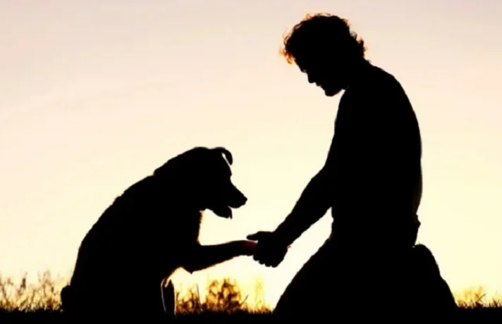 کنار آمدن با مرگ حیوان خانگی؛ نکاتی در مورد غم از دست دادن حیوان خانگی
