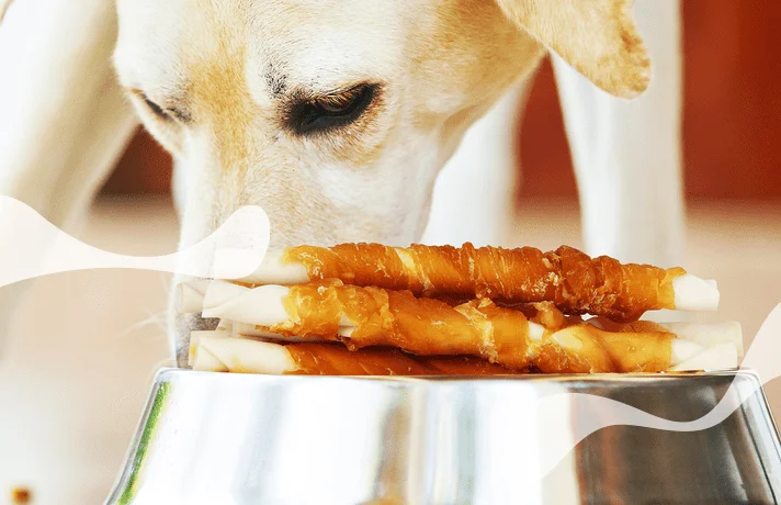 تشویقی سگ چیست؟ + معرفی بهترین تشویقی برای سگ ها