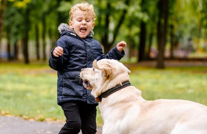 آیا سگ ترس انسان را احساس می کند؟