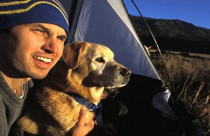 نکات مهم طبیعت گردی و کمپ رفتن با سگ