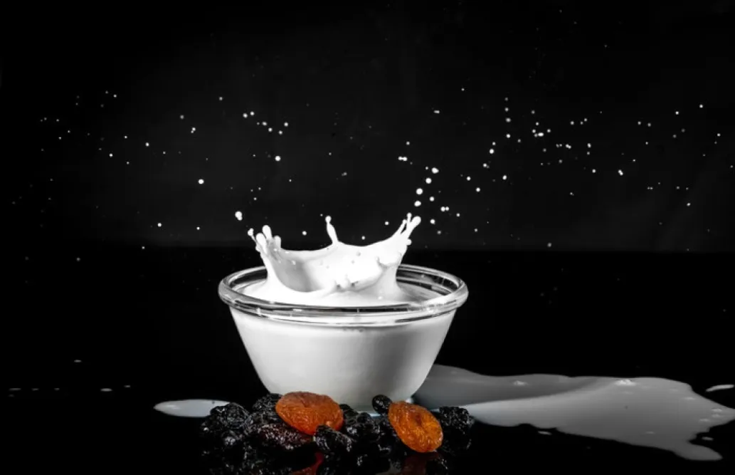 مزایا و مضرات لبنیات و شیر برای توله سگ ها و سگ های بالغ
