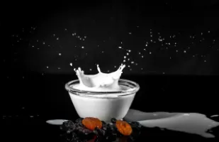 مزایا و مضرات لبنیات و شیر برای توله سگ ها و سگ های بالغ