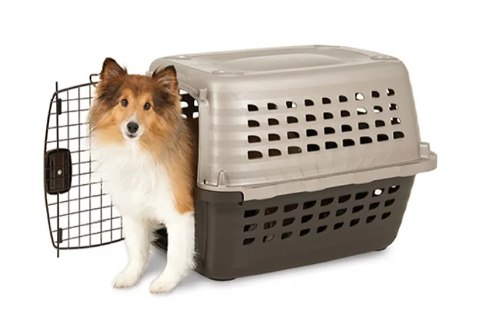 راهنمای خرید بهترین باکس برای سگ و لوازم جانبی آن