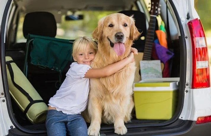 وسایل مورد نیاز سفر با سگ برای مسافرت زمینی و هوایی