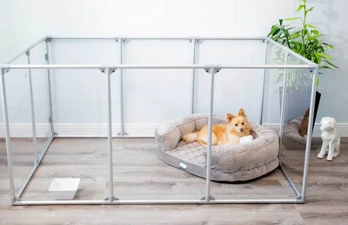 پارک سگ چیست و چه کاربردی برای تربیت سگ دارد؟