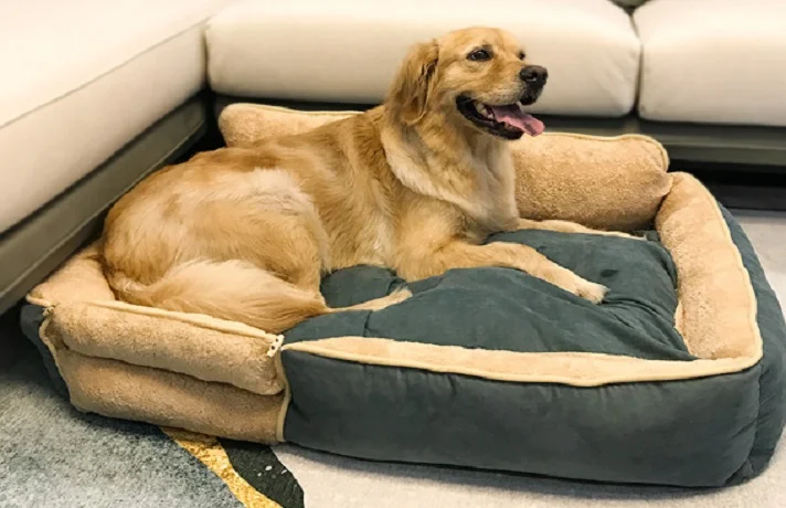 راهنمای انتخاب و خرید جای خواب سگ