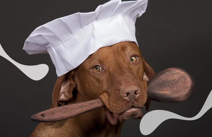 طرز تهیه 5 تشویقی سگ خانگی که سگ شما دوست خواهد داشت