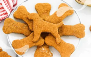 طرز تهیه انواع تشویقی سگ فقط با مرغ!