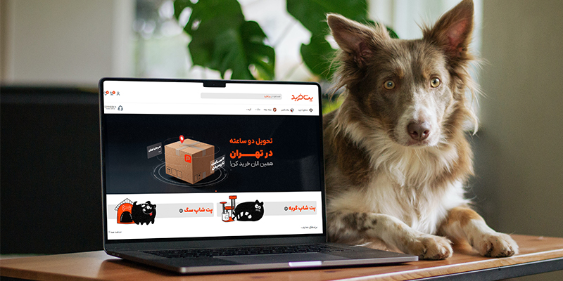 بهترین پت شاپ آنلاین؛ راهنمای خرید مطمئن برای پت شما