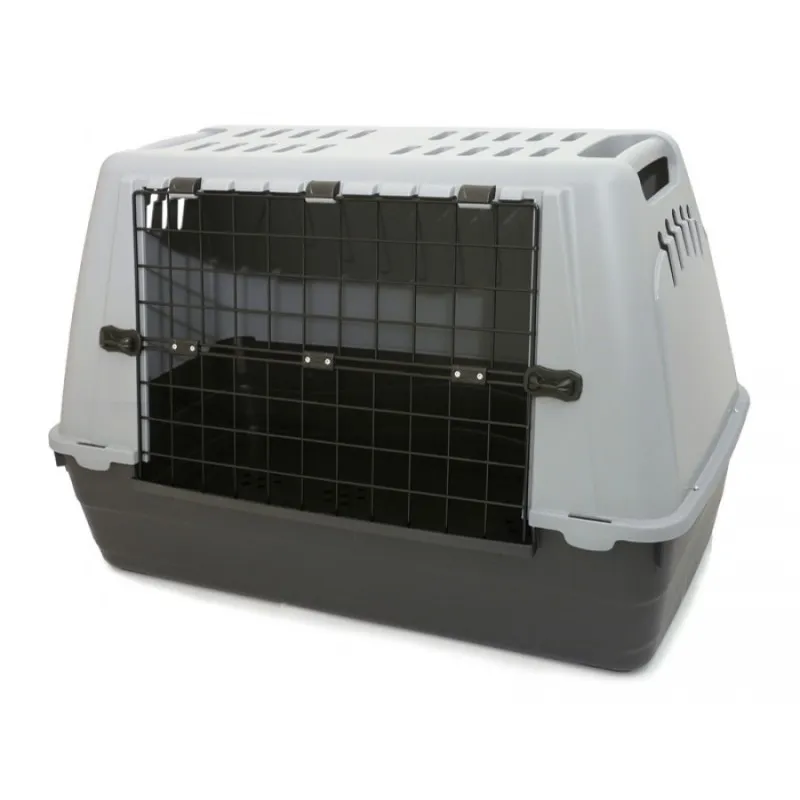 Bracco Dog &amp; Cat Eco Lein Box _ IATA