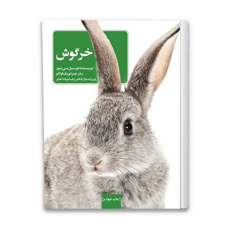  Rabbit Book