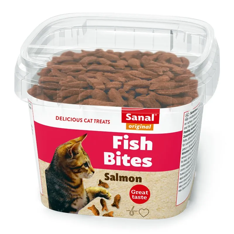 Crunchy Cat Treat with Salmon Flavor Sanal