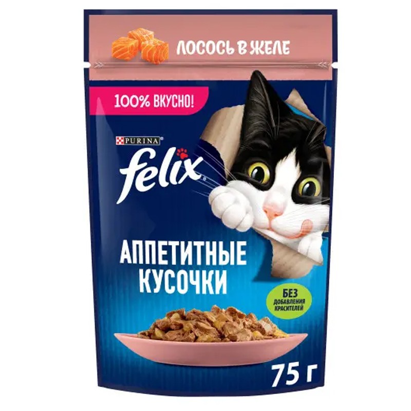 Felix Pouch Wet Cat Food With Salmon In Gravy