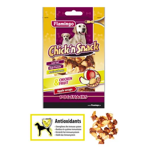 Chick’ n snack apple wrap