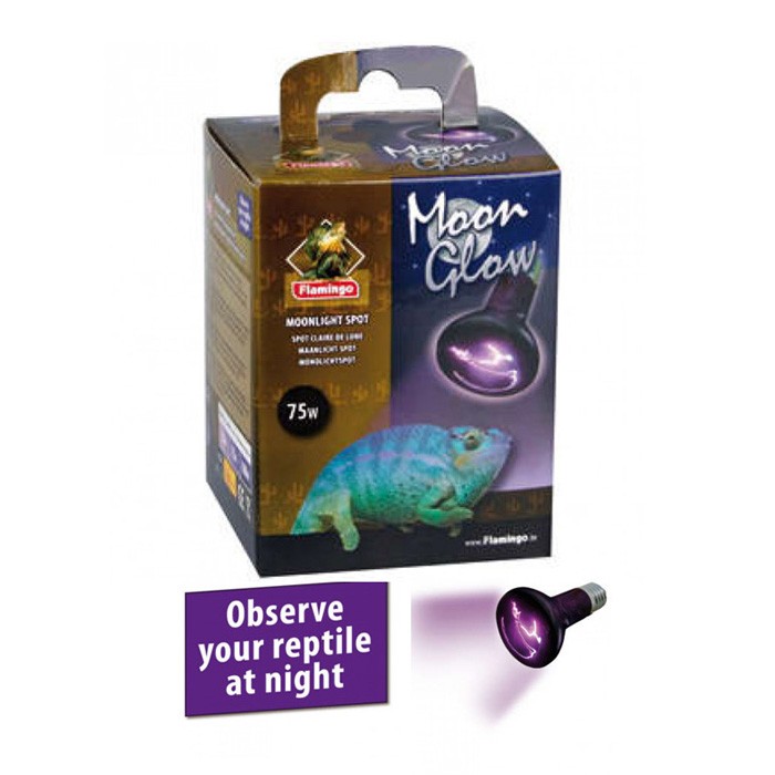 spot moon light lamp