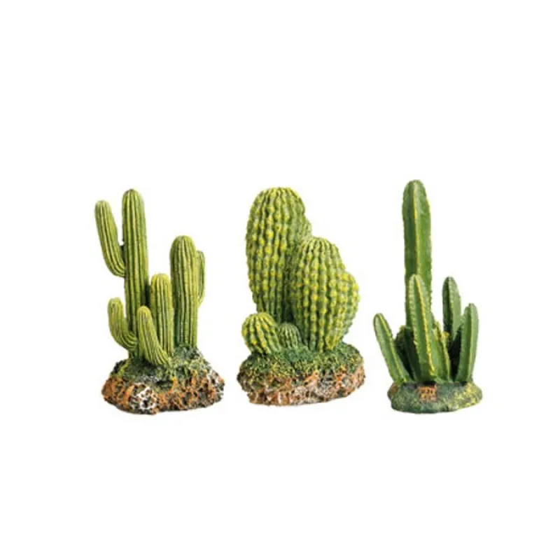 Decoration Cactus