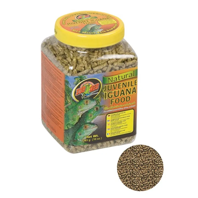 zoomed dry food invenile iguana