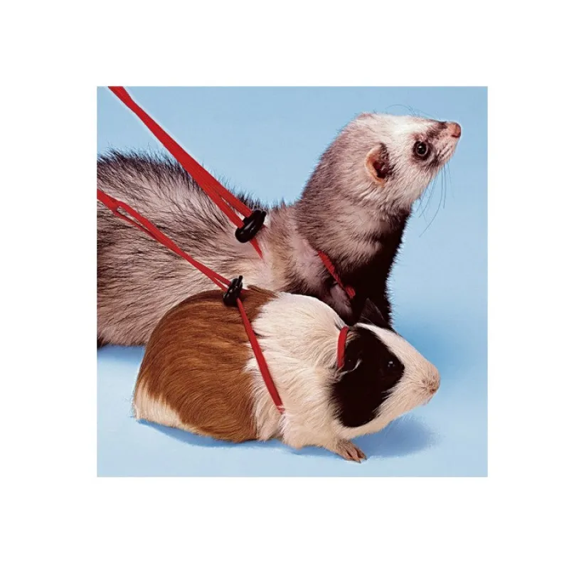 Guinea pig harness