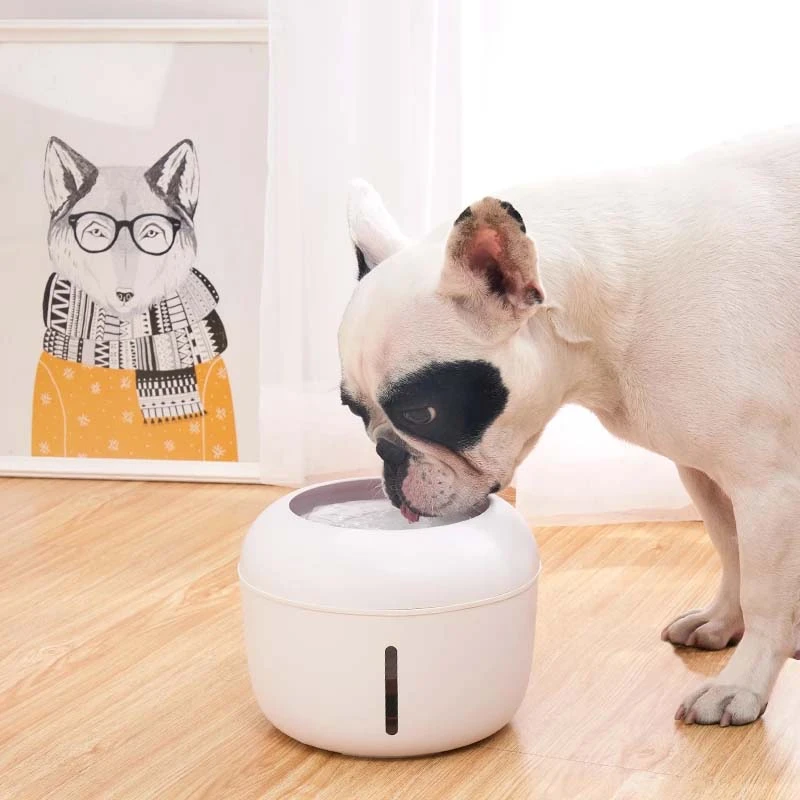 Pakeway Tomcat White Pet Drinking Fountain