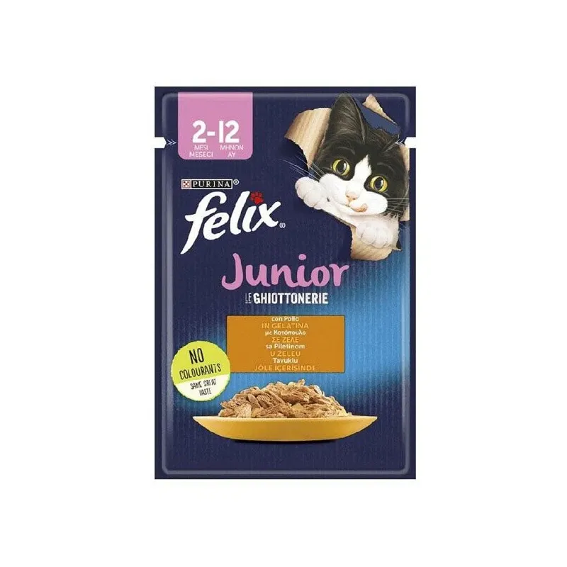 Felix Junior With Chicken