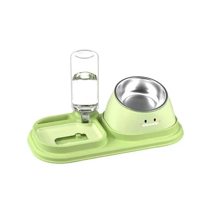 Cat Food and Water Bowl