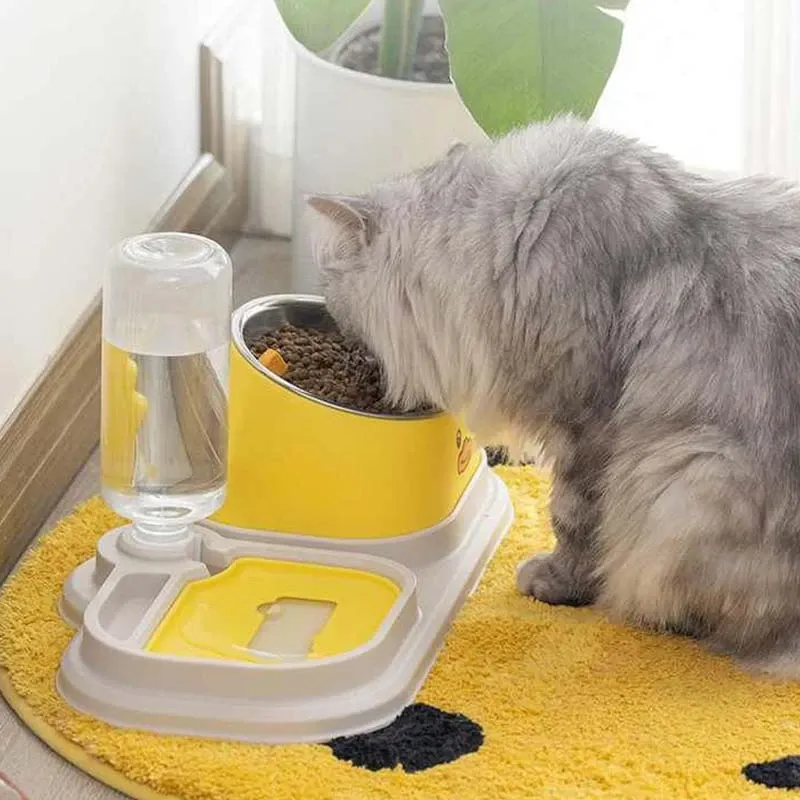 Cat Food and Water Bowl