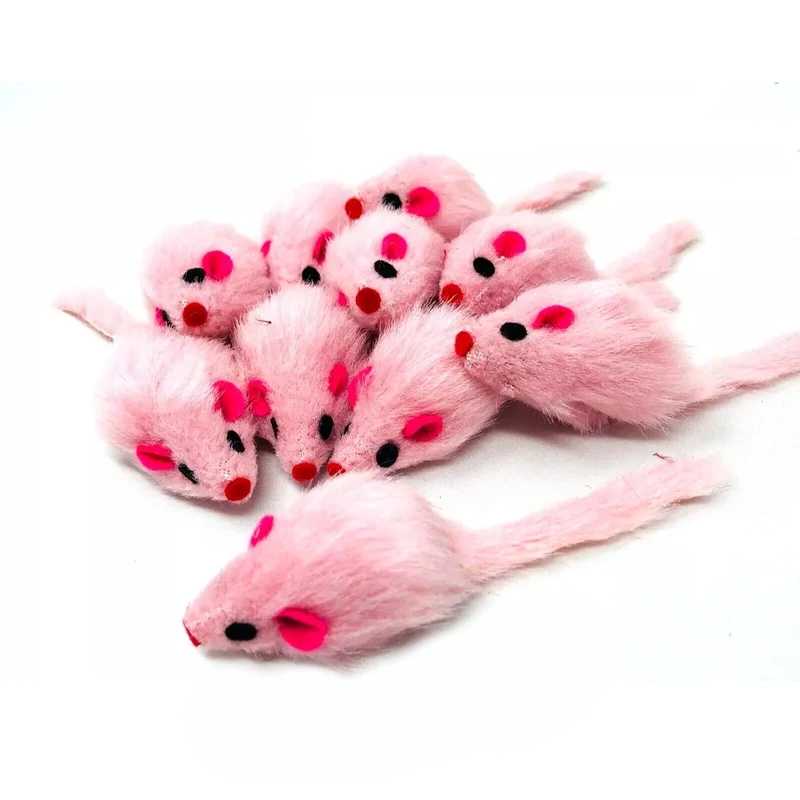 Cat Toy Mouse Model