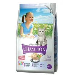 Champion Kitten