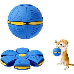 Bouncy Ball Dog Toy