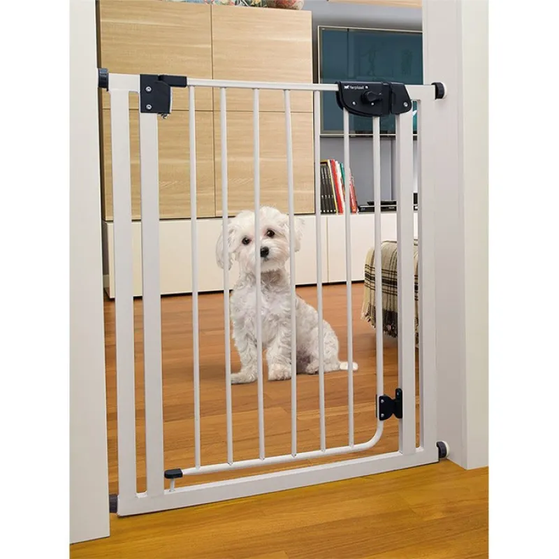 Dog Gate