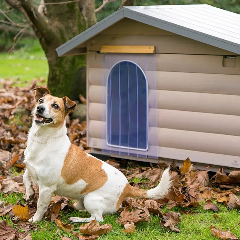 Canada Wooden Kennel