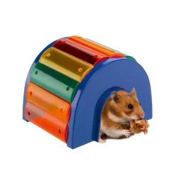 Kuci Hamster