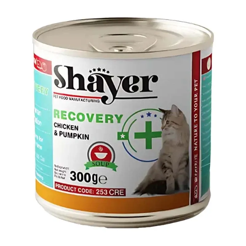 Shayer Recovery Adult Wet Cat Food With Chicken and Pumpkin Flavor