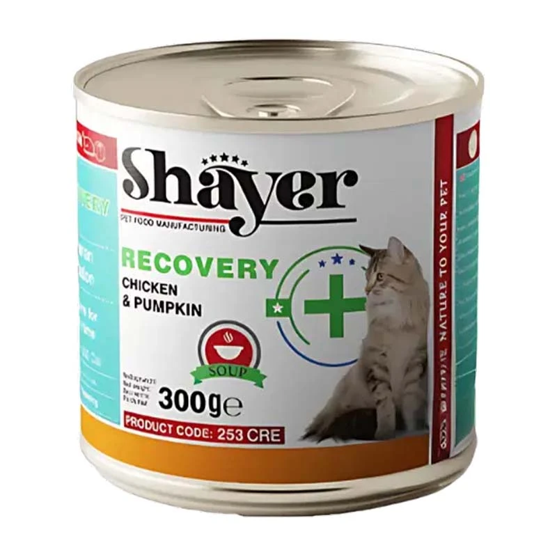Shayer Recovery Adult Wet Cat Food With Chicken and Pumpkin Flavor
