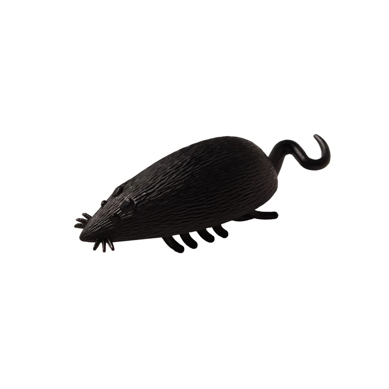 The Moving Mouse Toy