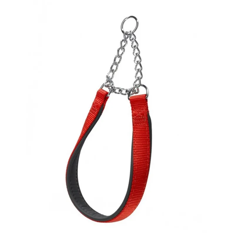 Daytona Nylon Dog Collar3