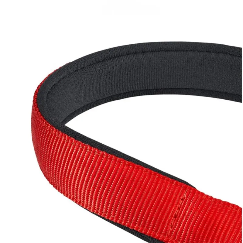 Daytona Nylon Dog Collar3
